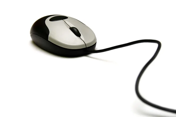 Myš z počítače — Stock fotografie