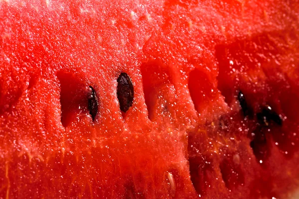 stock image Water-melon