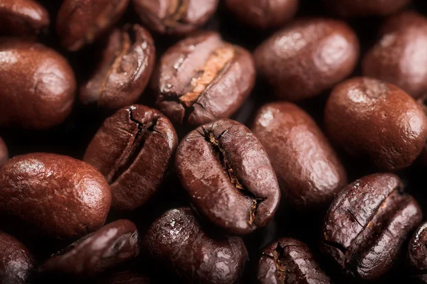 Καφέ bean — Φωτογραφία Αρχείου