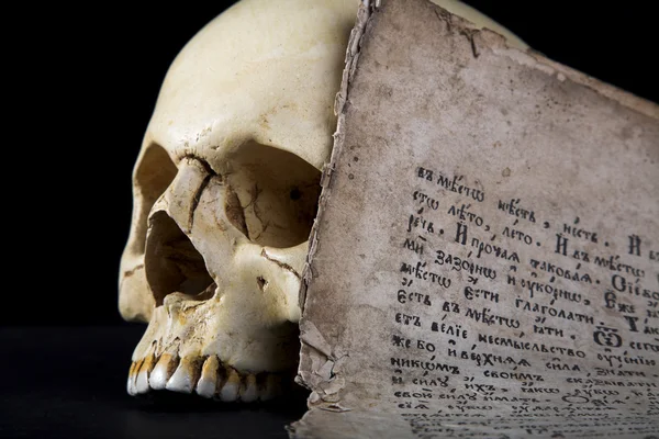 Cranio e vecchio manoscritto — Foto Stock