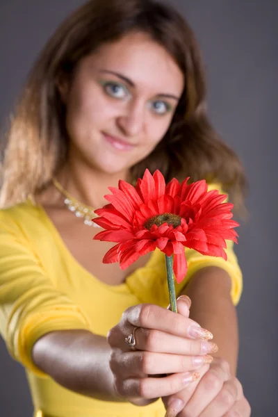 Girl with red flower — Stock Photo, Image