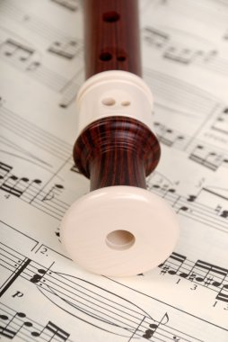 Flute and notes