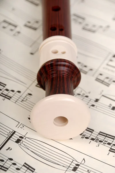 Flute and notes — Stockfoto