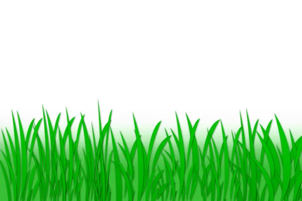 Stock image Green grass background