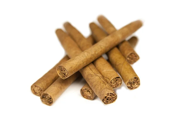 Cigarros —  Fotos de Stock