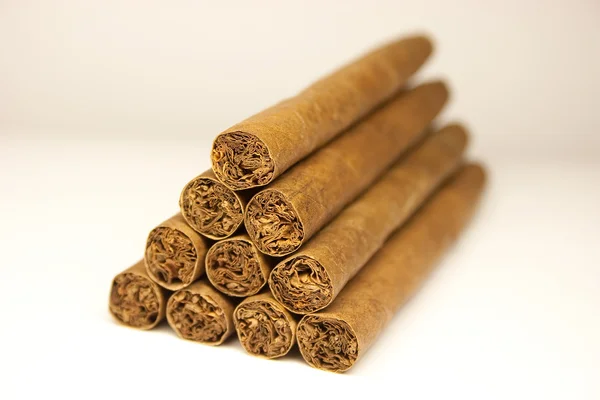 Zigarren — Stockfoto