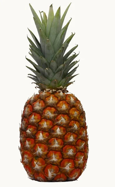 Mogna ananas — Stockfoto
