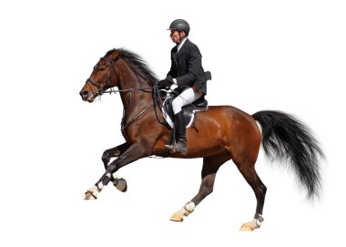 Full speed gallop clipart