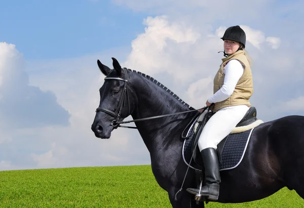 Женщина и чёрная лошадь — стоковое фото