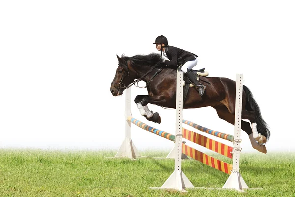 Häst och kvinna - hoppning — Stockfoto