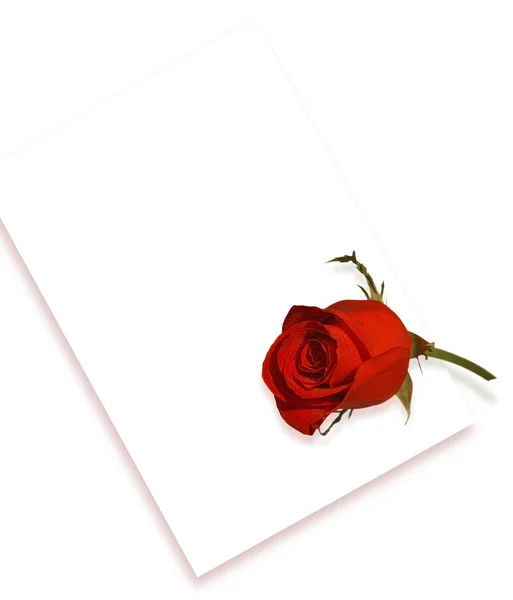 Роза и письмо — стоковое фото