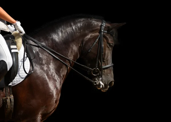 Dressage, black horse — Stock Photo, Image