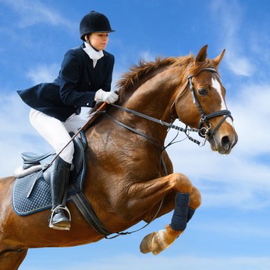 Equestrian jumper clipart