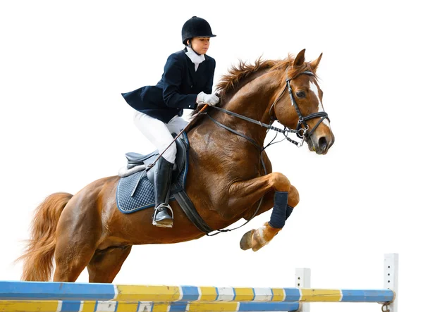 Paardensport jumper — Stockfoto