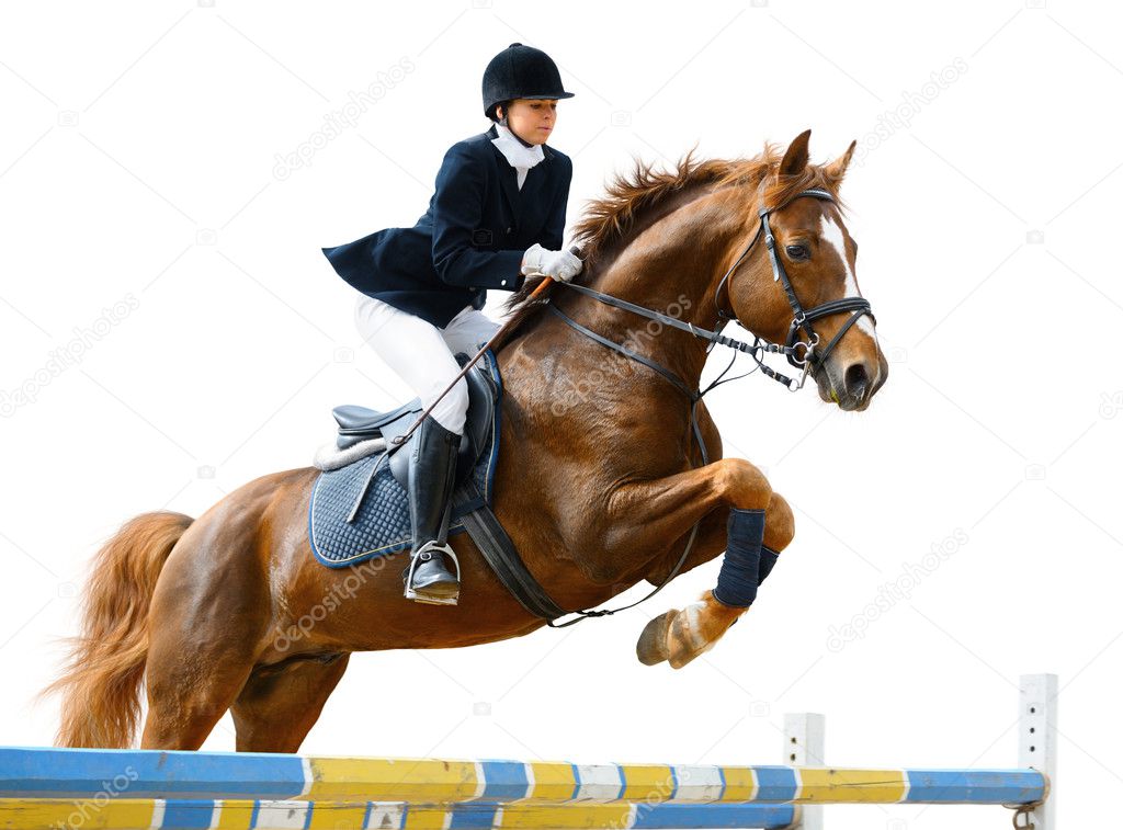 Equestrian jumper
