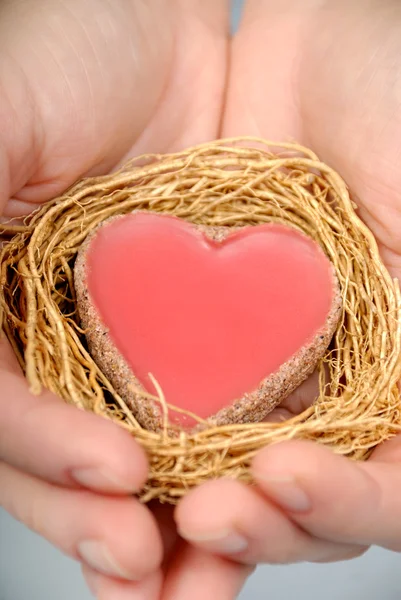 Heart in hands — Stock Photo, Image