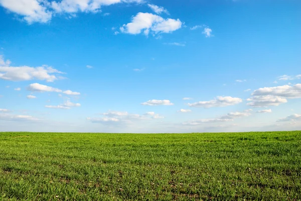 stock image Landscape