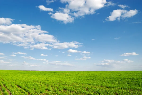 stock image Landscape