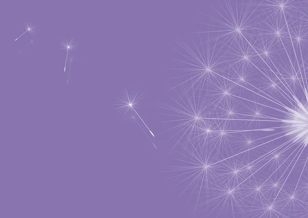 Dandelions violet — Stock Vector