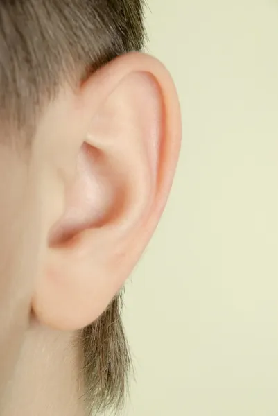 Вухо — стокове фото