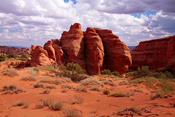 Kırmızı çöl — Stok fotoğraf