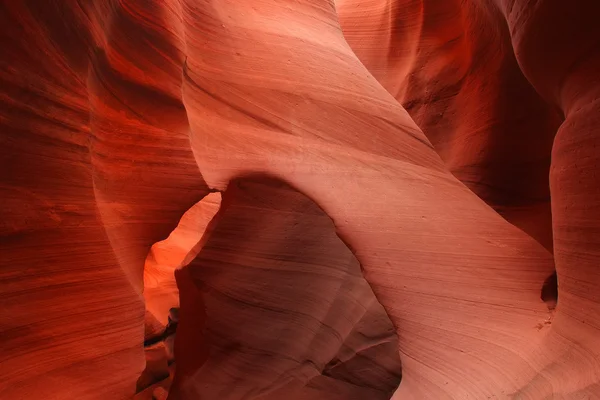 Canyon de l'antilope — Photo