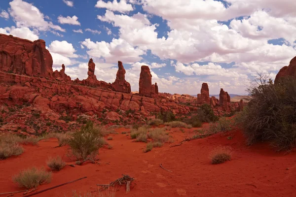 Desierto rojo — Foto de Stock