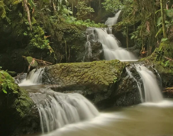 Tropical Falls Ліцензійні Стокові Зображення