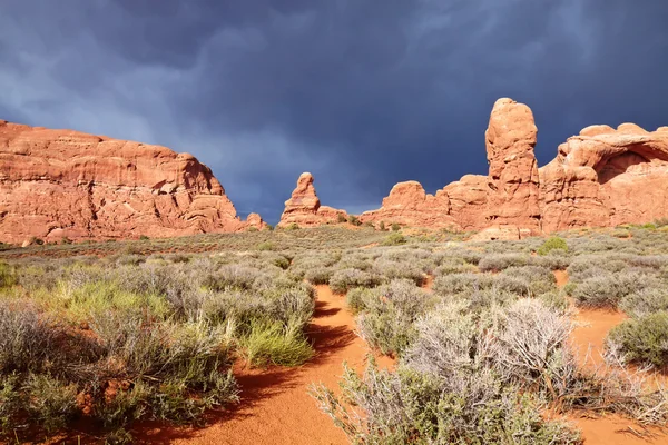 Desert na de storm — Stockfoto