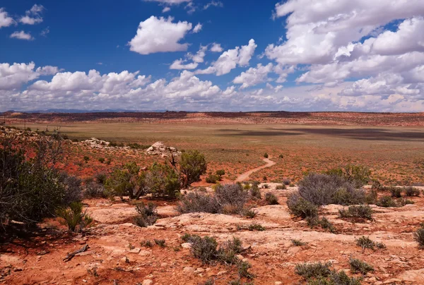 Czerwona pustynia — Zdjęcie stockowe