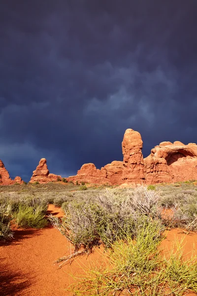 Desert na de storm — Stockfoto