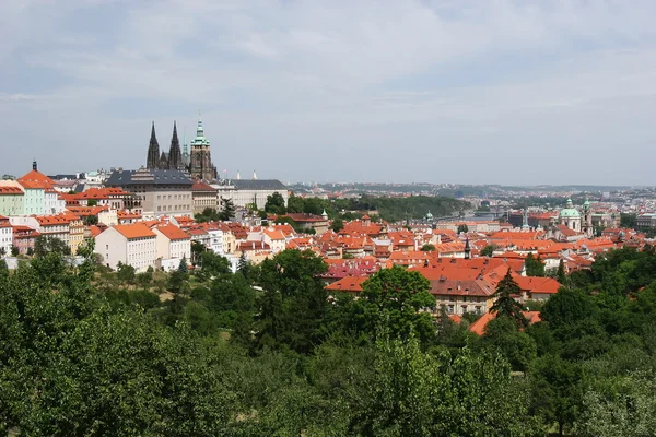 Svatého Víta, Pražský hrad a Hradčany dis — Stock fotografie