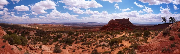 Panorama du désert — Photo
