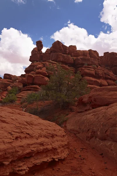 Punainen aavikko — kuvapankkivalokuva