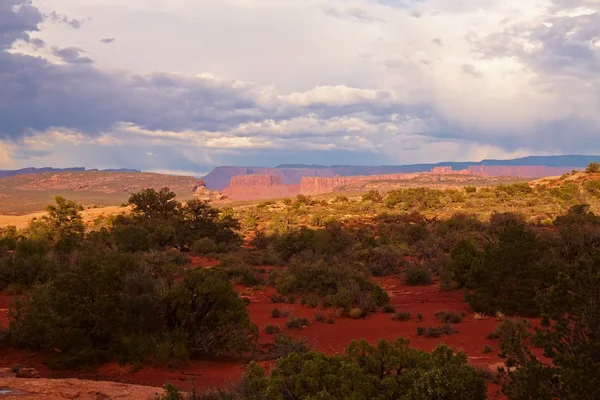 夕暮れ時の赤い砂漠 — ストック写真