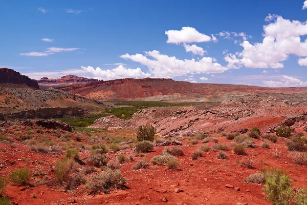 赤い砂漠 — ストック写真