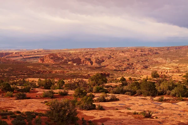 Gün batımında kırmızı çöl — Stok fotoğraf