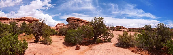 Panorama do deserto Fotografias De Stock Royalty-Free
