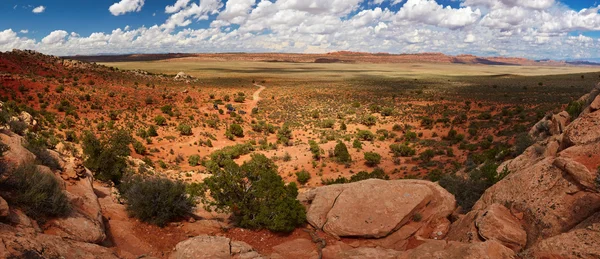 Panorama do deserto Fotos De Bancos De Imagens