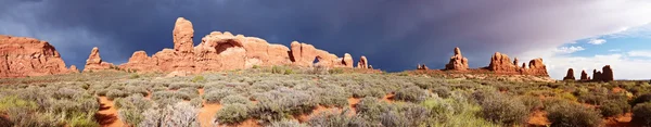 Öken efter stormen panorama Stockbild