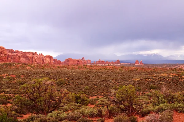 Красная пустыня — стоковое фото
