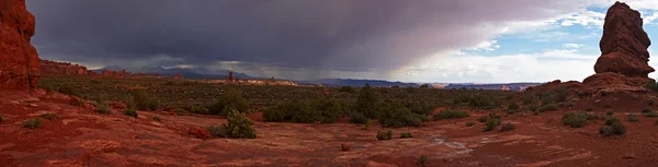 Desert na de storm-panorama — Stockfoto