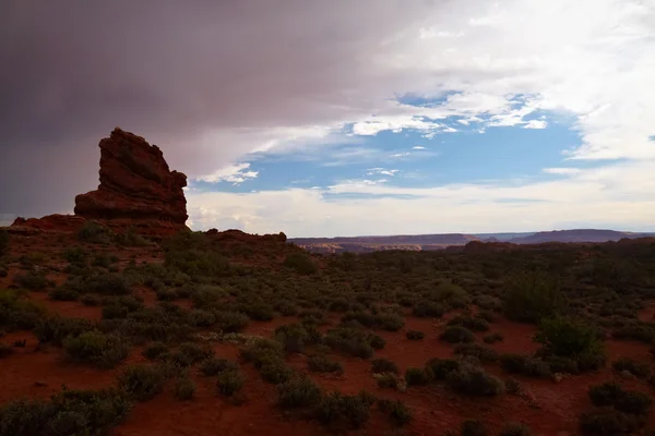 Пустыня после шторма — стоковое фото