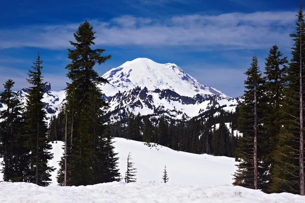 Snowcapped Mount Rainier Стокове Фото