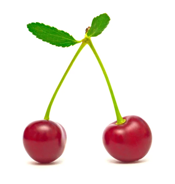 stock image Cherry on white