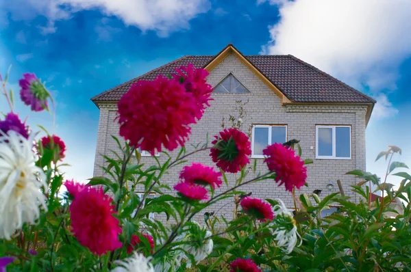 House on a background of bright flowers — Stock Photo, Image
