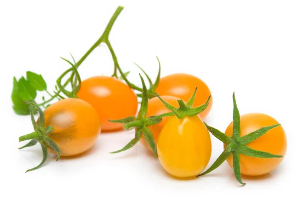 Tomates de laranja — Fotografia de Stock