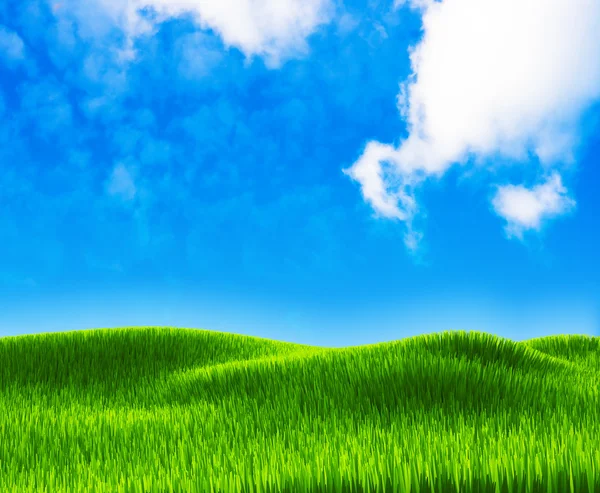 Green grass landscape — Stock Photo, Image