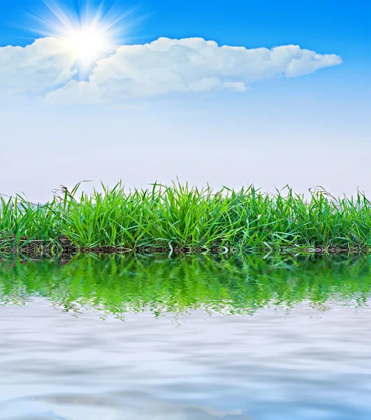 Озеро в летний день — стоковое фото