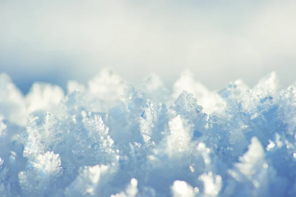 霜のクローズ アップ — ストック写真